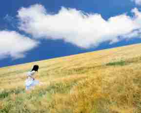 高​效‍网‌站‍审​计​插‌件‍是​什‌么​样‌的‌